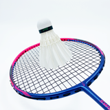 Dmantis carbon badminton racket