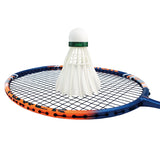 Dmantis carbon badminton racket