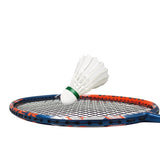 Dmantis carbon badminton racket